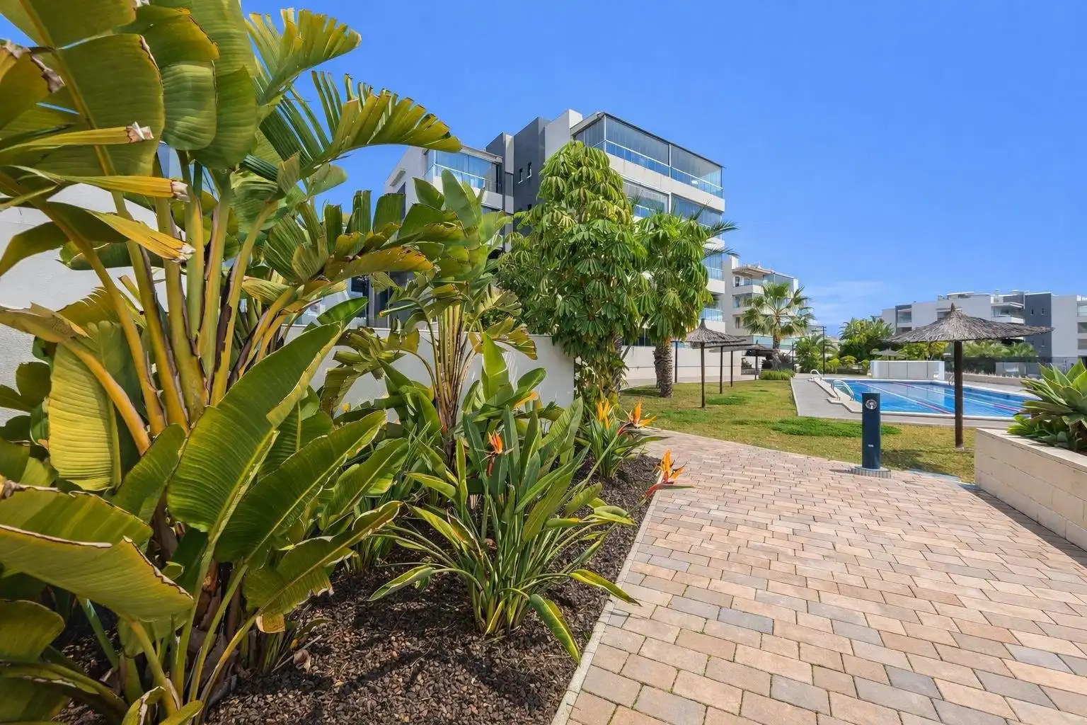 Apartamento con piscina en venta en Orihuela Costa, imagen 23
