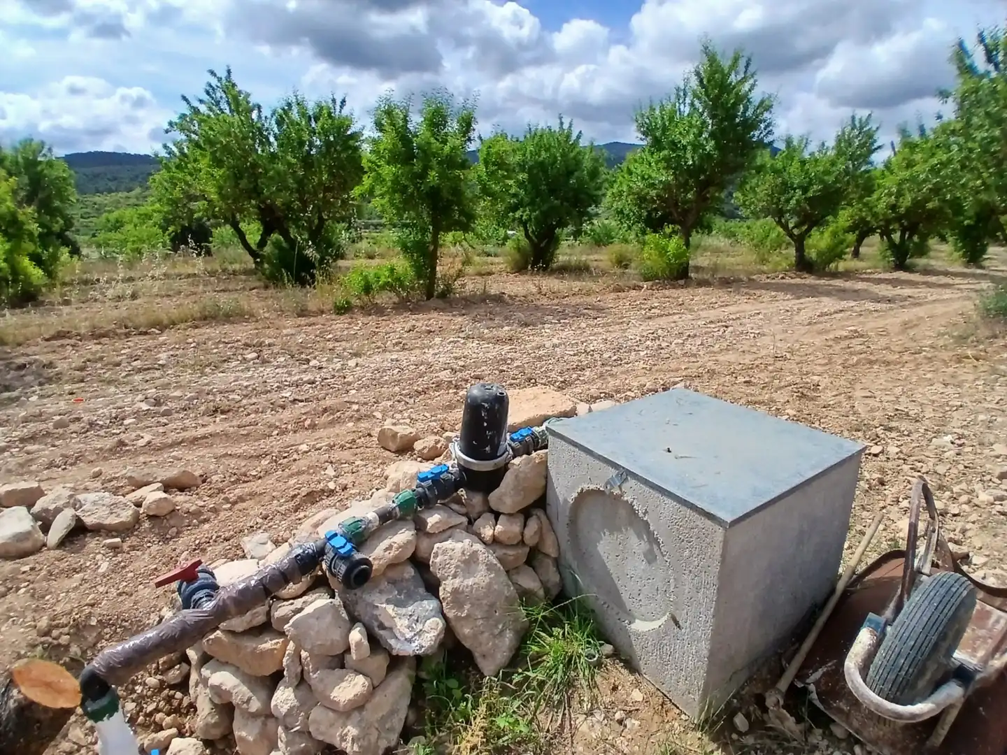 Rural land for sale in Corbera d'Ebre, imagen 14