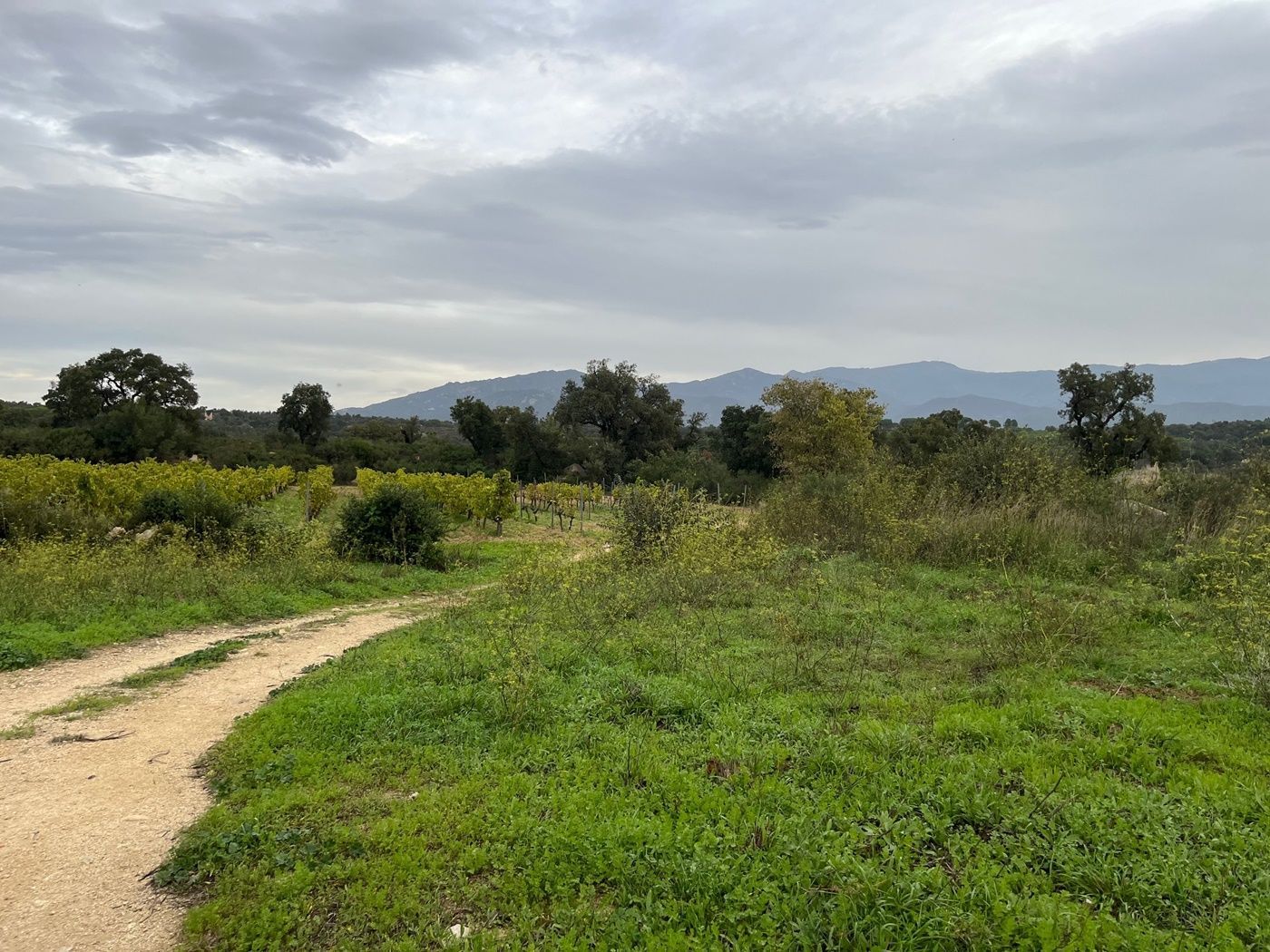 Residential for sale in Capmany