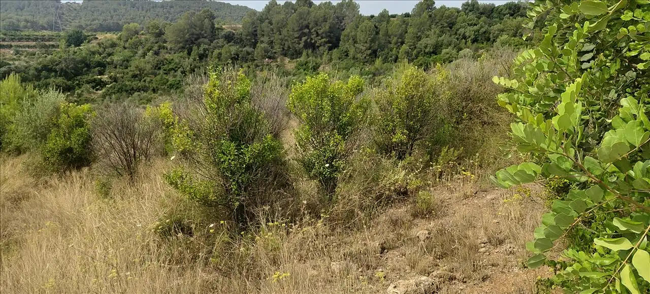 Residencial en venta en Estubeny