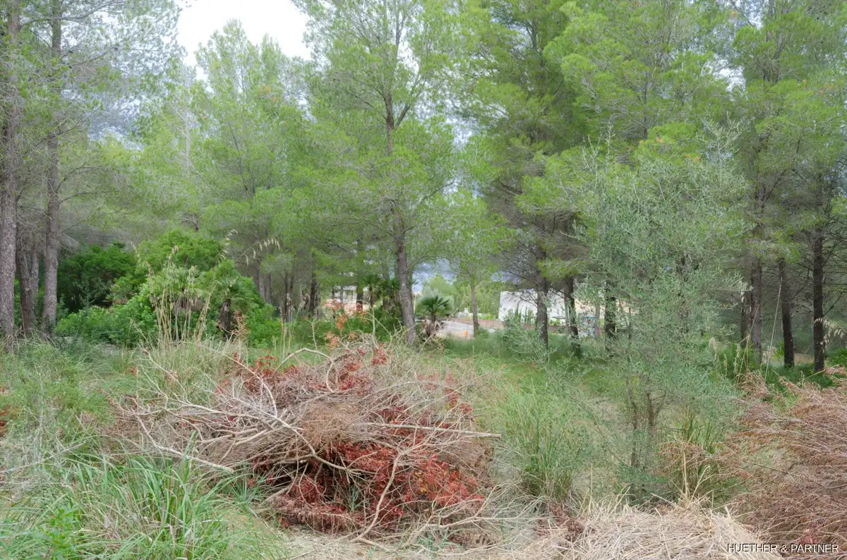 Terreny residencial en venda a Betlem, imagen 5