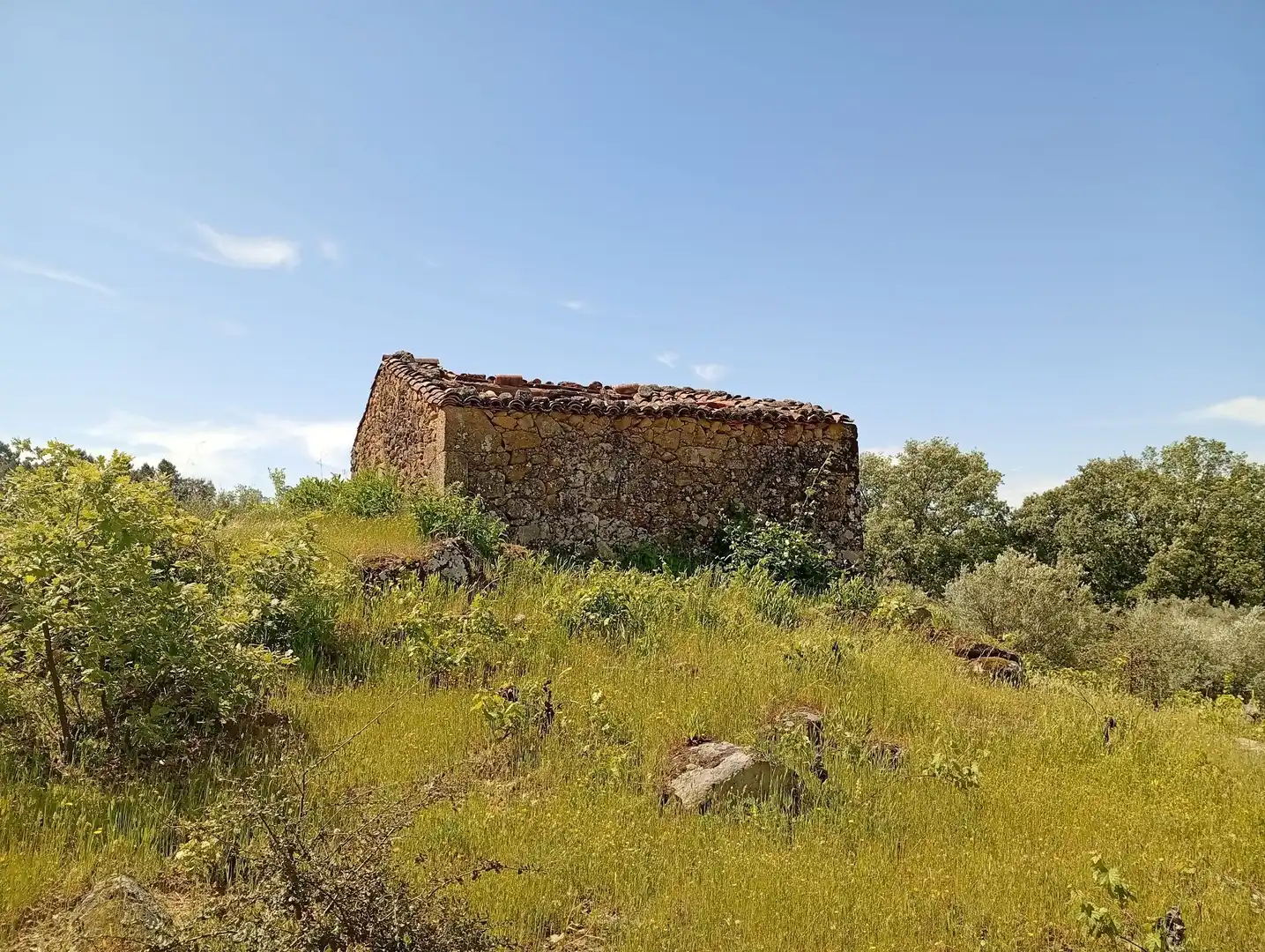 Terreni e lotti in vendita a Villanueva de la Vera, imagen 12