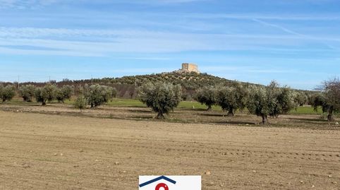 SE VENDE FINCA RUSTICA EN SONSECA POR 14.900 €