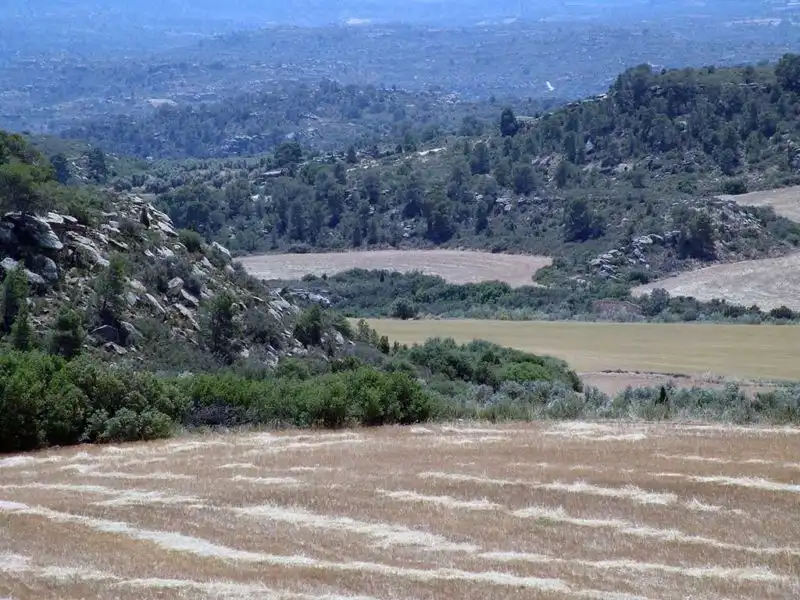 Finca rústica en venta en Alcañiz