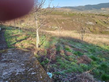 Terreno rústico en venta en Travesía Cuatro Calles 4