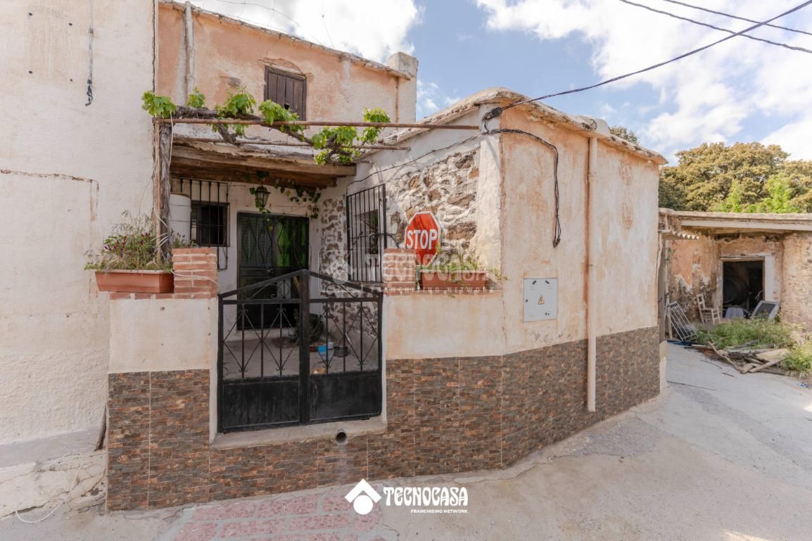 Vista exterior de Finca rústica en venda en Torvizcón