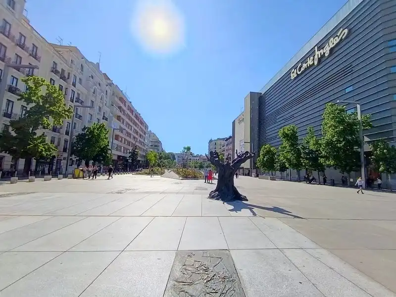 Pis amb terrassa en venda a Barrio de Salamanca, imagen 49
