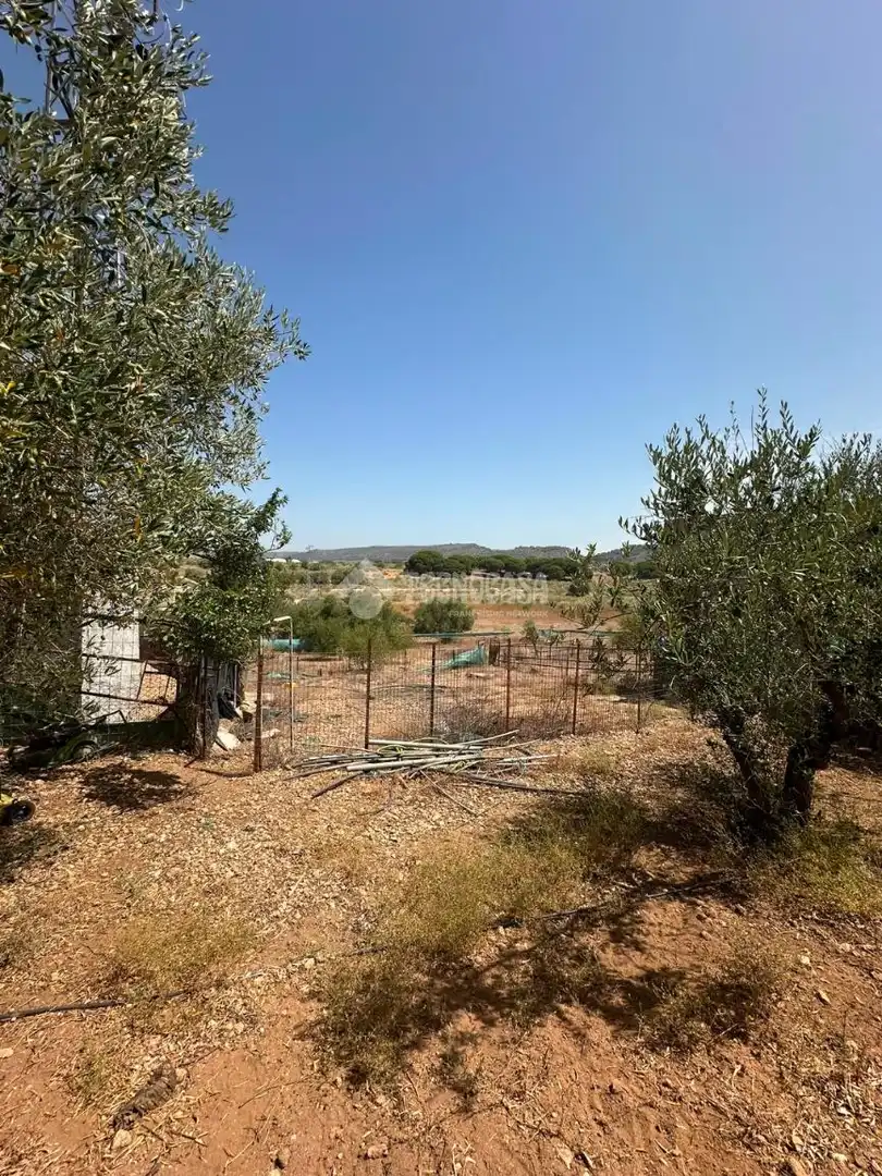 Casa rústica en venda a Arcos de la Frontera, imagen 2
