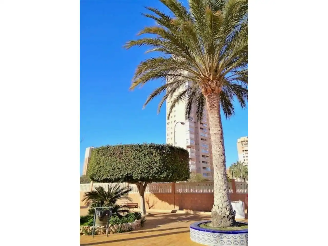 Exterior view of Flat for rent in El Campello  with Terrace, Furnished and Community pool