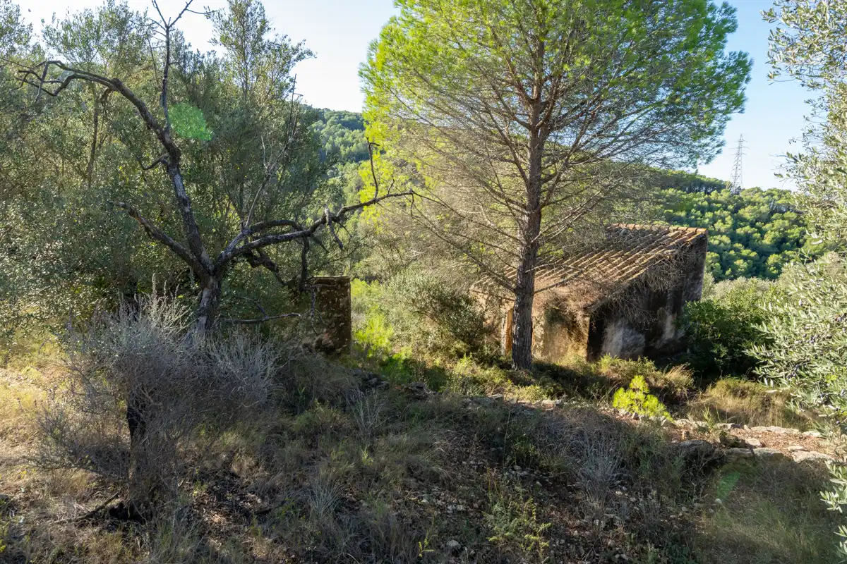 Terreny rústic en venda a Camí de la Potra de Pino 28, imagen 7