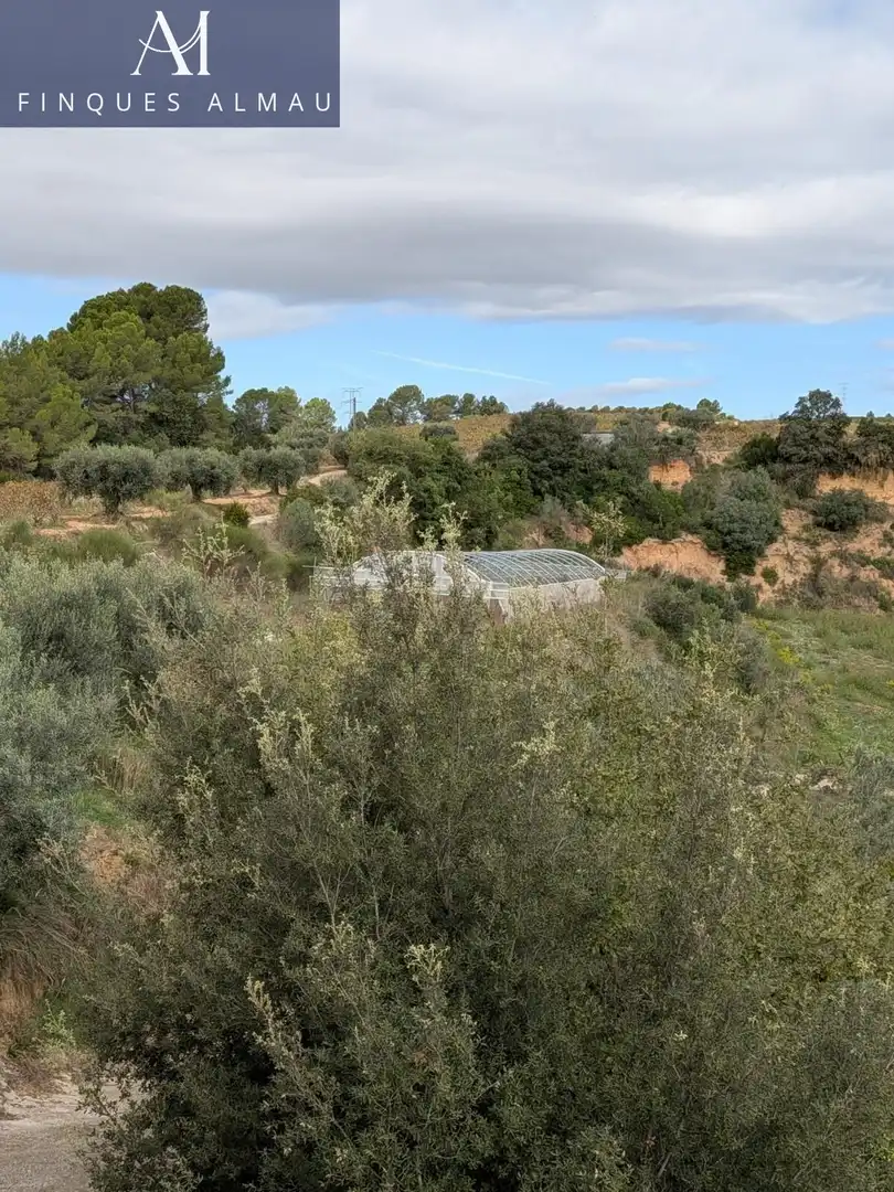 Finca rústica en venta en Sant Llorenç d'Hortons con Terraza