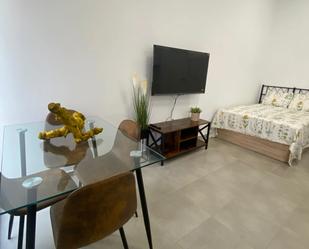 Sala d'estar de Estudi de lloguer en Elche / Elx amb Moblat, Forn i Rentadora