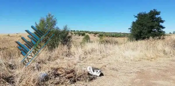 Terrain résidentiel à vendre à Calle CAMARMA, imagen 12