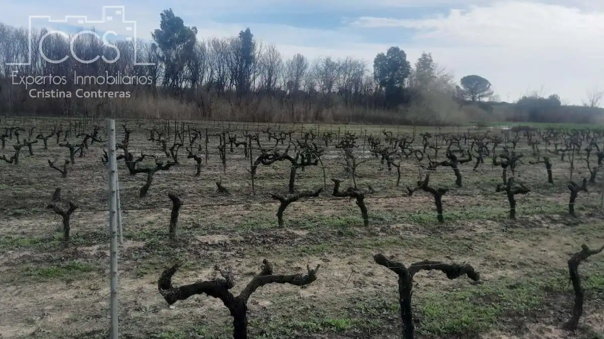 Terreni e lotti in vendita a Almonte ciudad, imagen 4