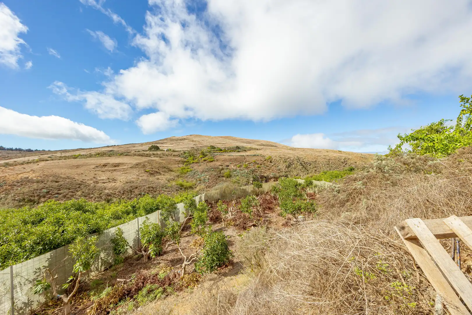 Residencial en venta en Lugar Lomo del Poleo, Saucillo - Fagajesto - Juncalillo