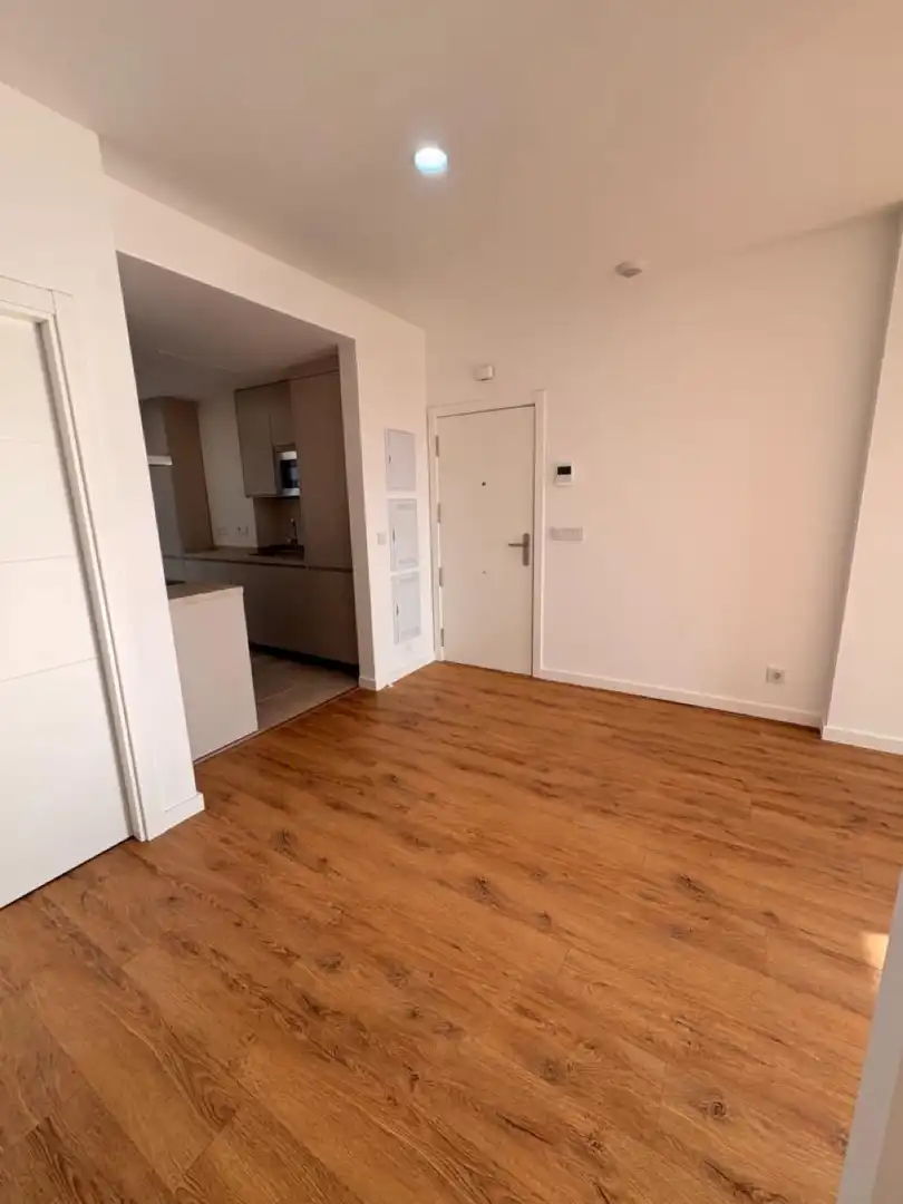 Flat with lift to rent in Avenida Avenida Ronda del Estero, imagen 6