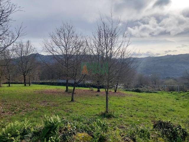 Terreno residencial en Venta en Coles
