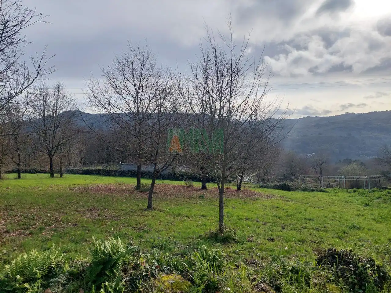 Terrenos y solares en venta en Coles