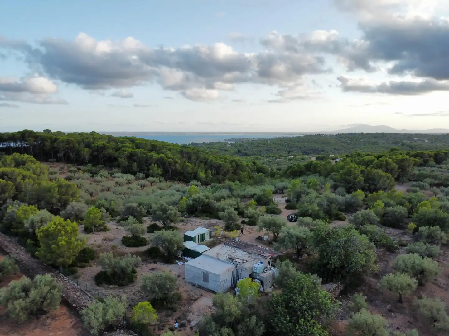 Maison rustique à vendre à Roques Daurades - L'Estany, imagen 19