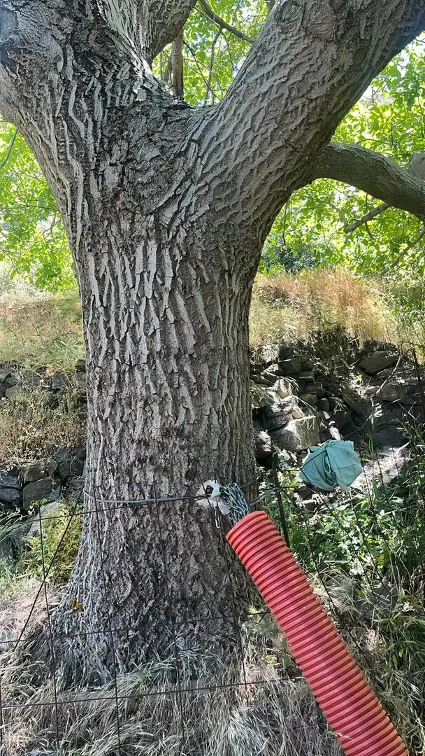 Terreni e lotti in vendita a Nigüelas, imagen 23