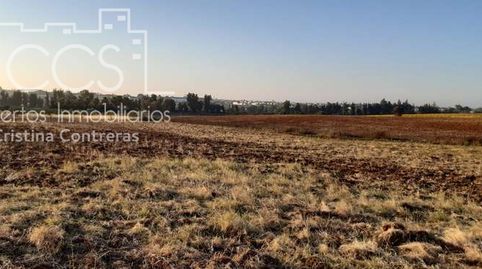 Venta de finca EN PROPIEDAD de 13.604 m2 en Almonte Huelva, imatge 2