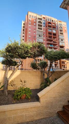 Apartamento en Alquiler en Avenida Roentgen, 7 en Zona Playa de los Locos