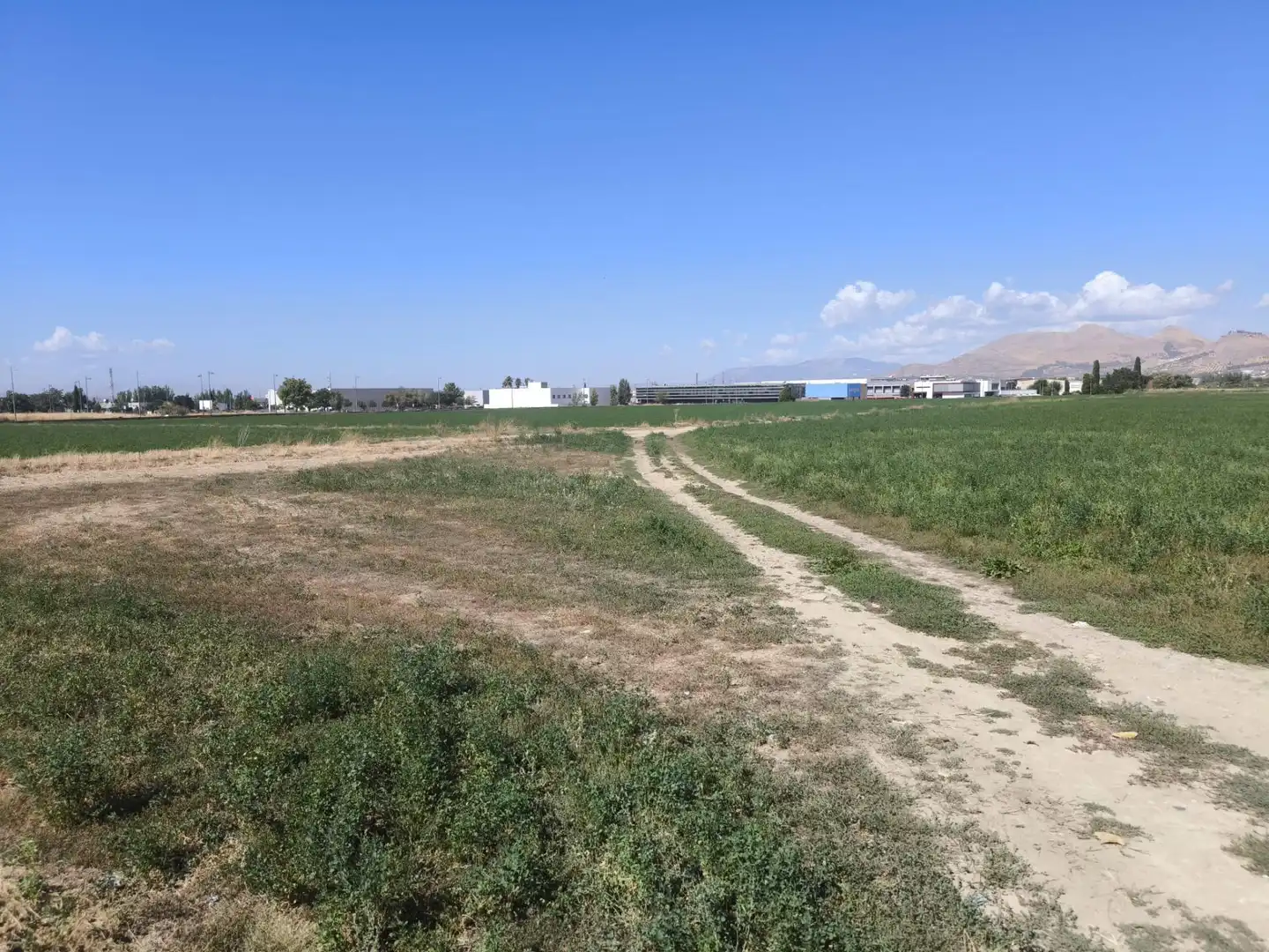 Industrial land for sale in Maracena, Granada