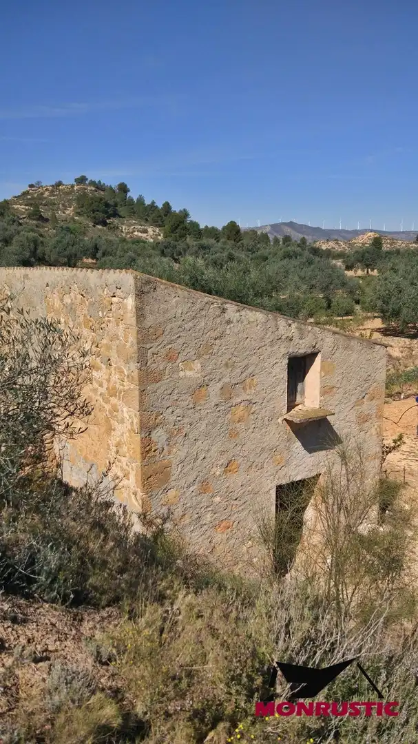 Terrain rustique à vendre à Riba-roja d'Ebre, imagen 14