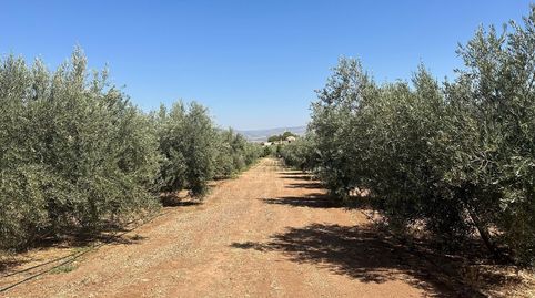 Foto 5 de Residencial en venta en Casco Histórico, Churriana de la Vega