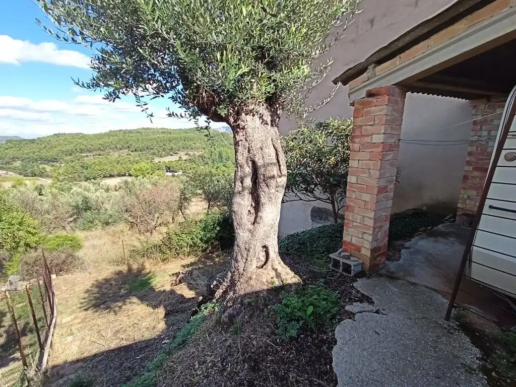 Garten von Residential zum Verkauf in Lledó