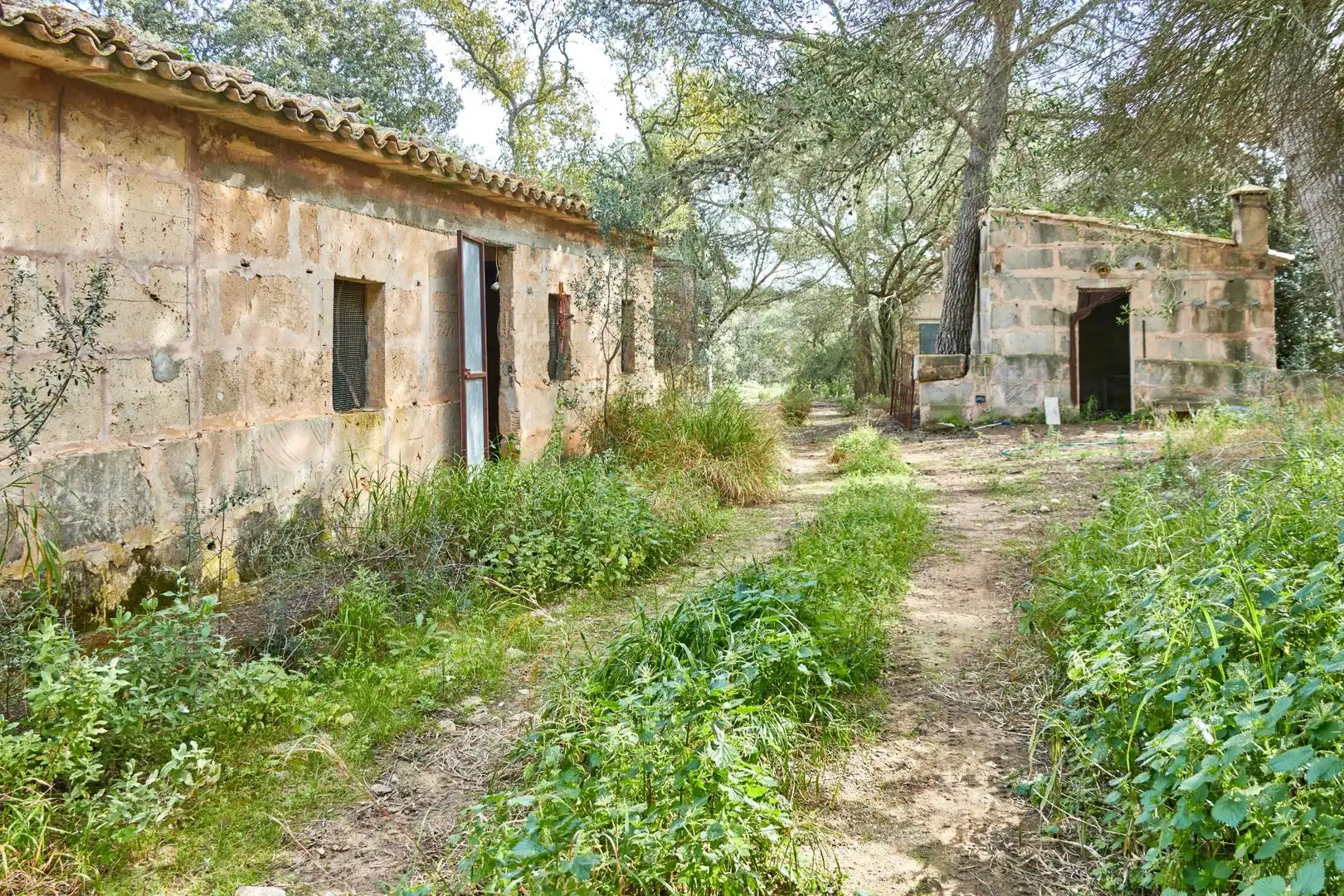 Casa rústica amb piscina en venda a Llucmajor pueblo, imagen 55