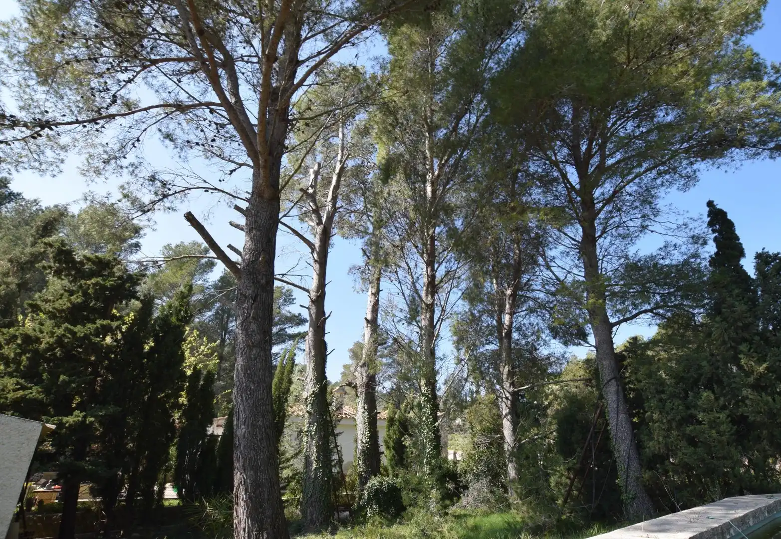 Jardí de Casa o xalet en venda en Alfara de Carles amb Terrassa, Traster i Piscina