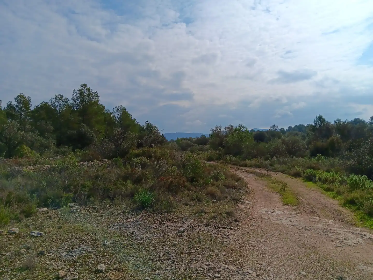 Lands and plots for sale in Ginestar