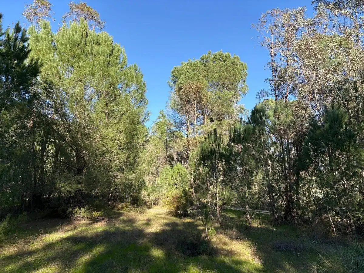 Terrenos y solares en venta en Rociana del Condado