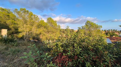 Foto 5 de Residencial en venta en Roda de Berà, Tarragona