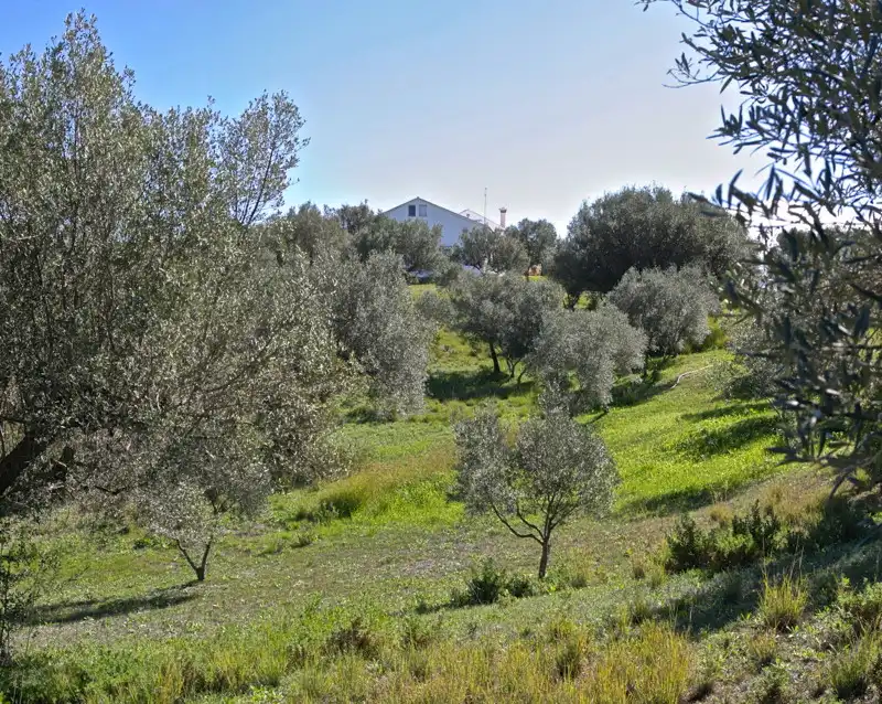 Villa mit Pool zum Verkauf in Elviria - Cabopino, imagen 13