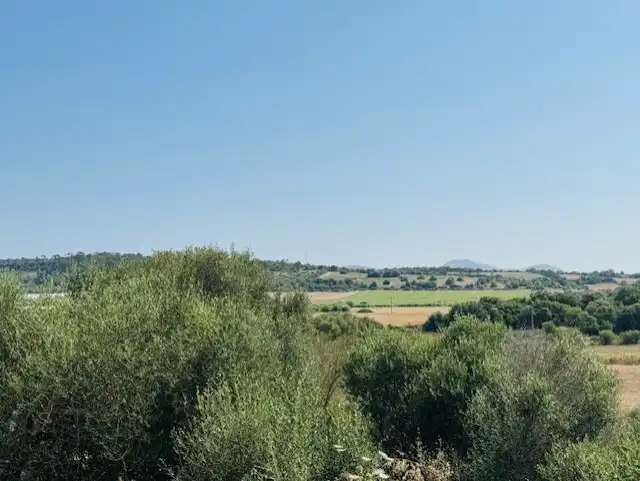 Country house with pool for sale in Manacor Centre, imagen 34