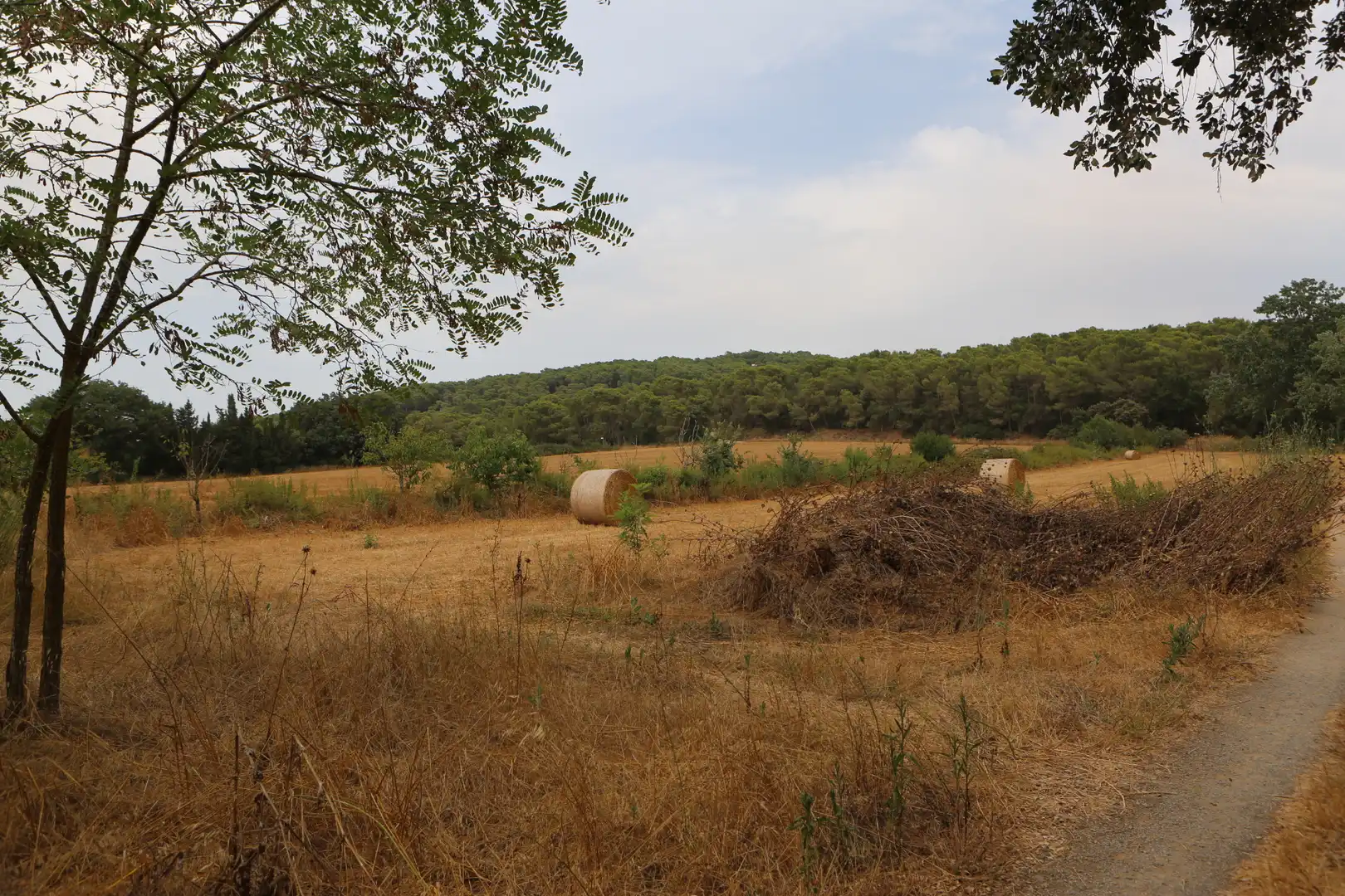 Finca rústica en venda en Begur amb Jardí privat