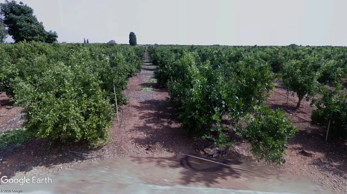 Terreno rustico in vendita a Avenida Alemania-Italia