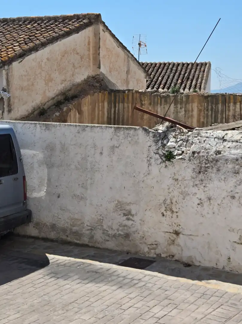 Vista exterior de Finca rústica en venta en Alcaucín