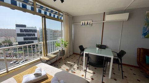 Foto 4 de Estudi de lloguer a Avenida Benidorm, Playa de San Juan, Alicante / Alacant