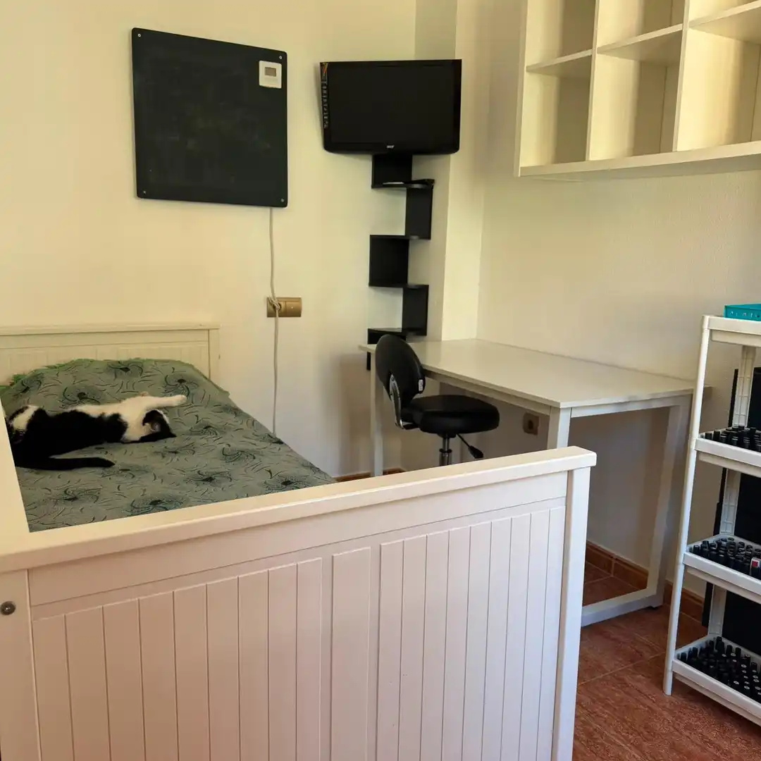 Bungalow en venta en La Mata, imagen 5