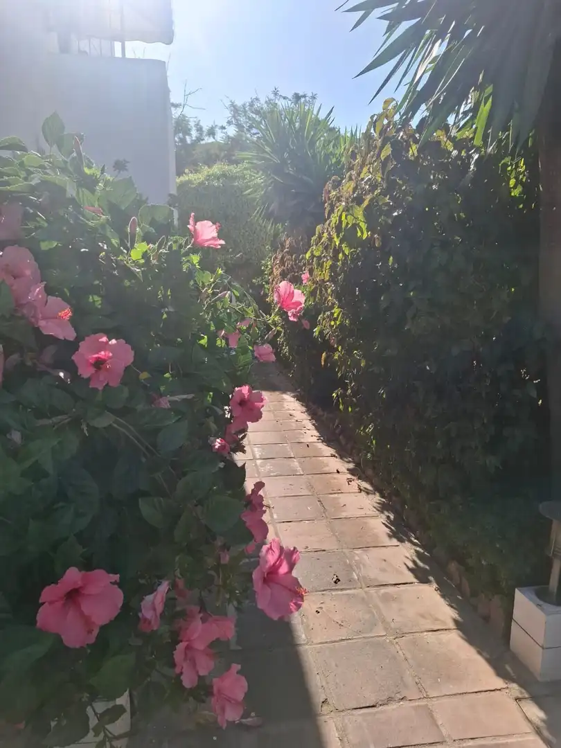 Garten von Wohnungen zur Miete in Torremolinos mit Terrasse, Abstellraum und Möbliert
