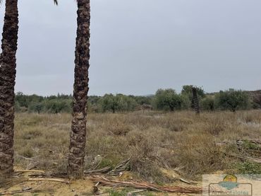 Terreni e lotti in vendita a Albox