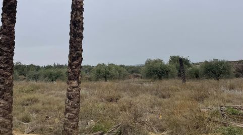 HuércalOveraTerreno