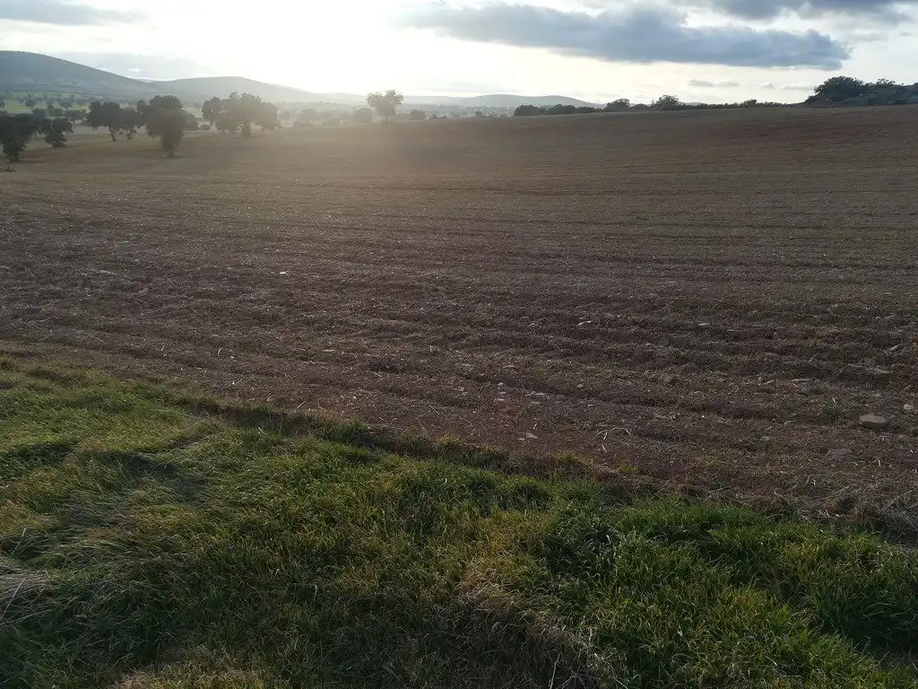 Casa rústica en venda a Santa Cruz de Mudela, imagen 11