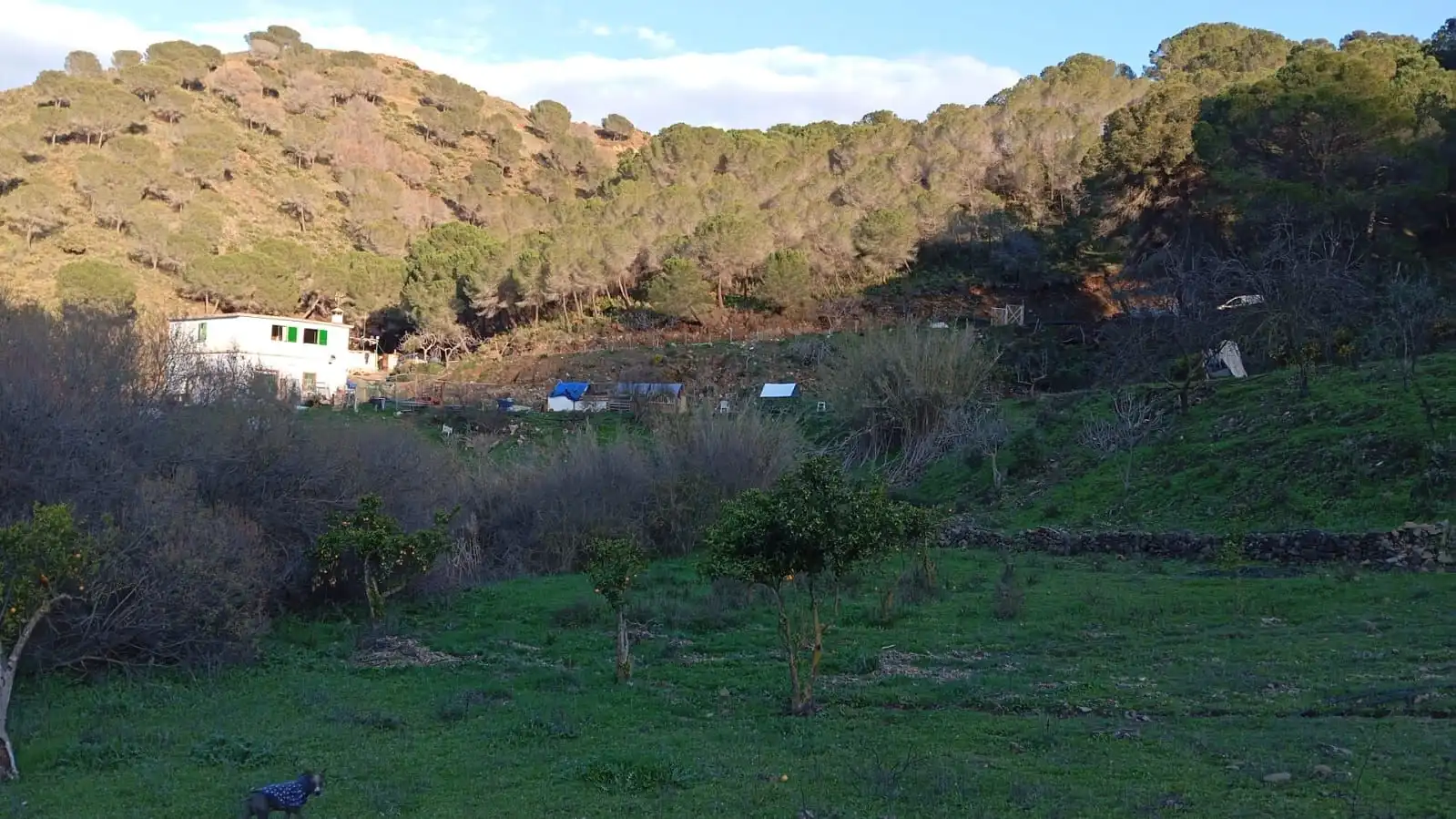 Casa rustica in vendita a Camino Los Guaperos , Paraje Majada Llana,, imagen 8