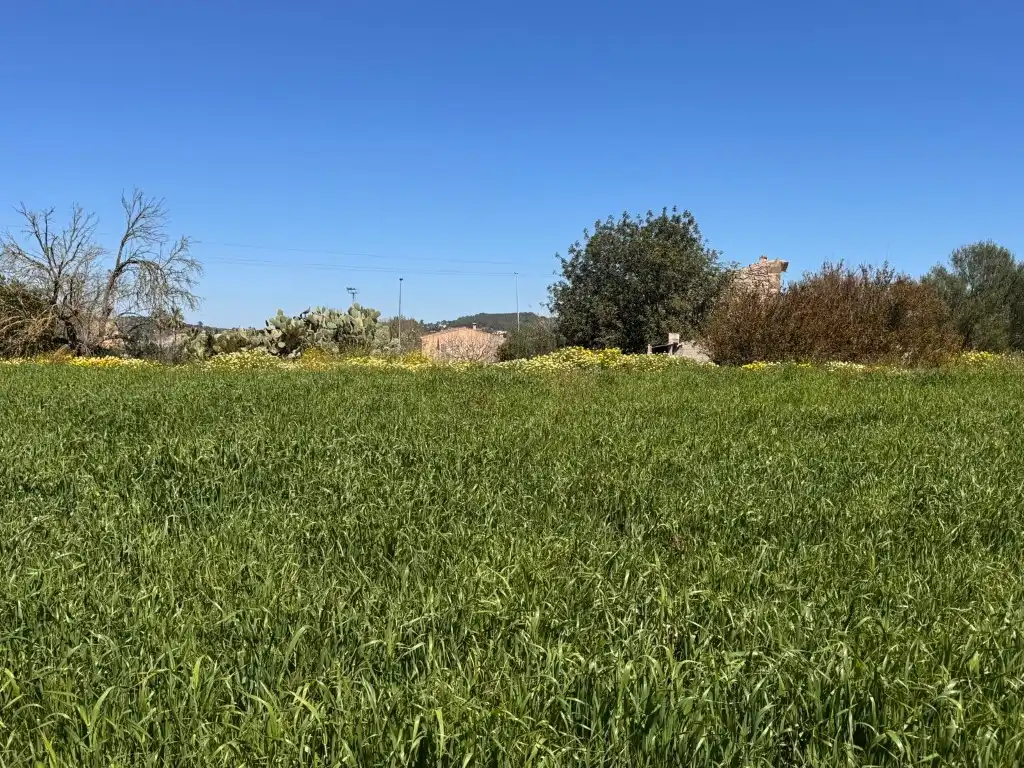 Terreno residenziale in vendita a Montuïri, imagen 5