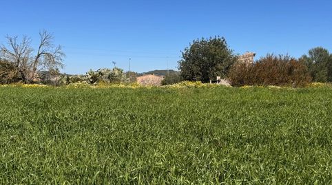 Parcela rústica con vistas abiertas cerca de Montuïri, immagine 5