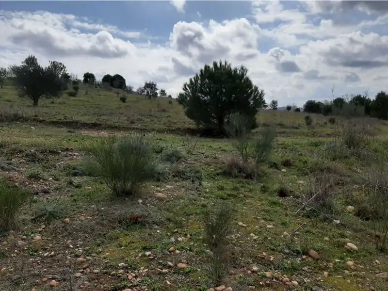 Terreni e lotti in vendita a GOLF DEL GUADIANA, imagen 8